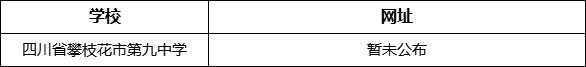 四川省攀枝花市第九中學(xué)網(wǎng)址是什么？