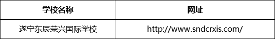 遂寧市遂寧東辰榮興國際學校網(wǎng)址是什么？