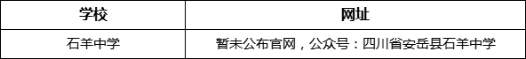 資陽市石羊中學網(wǎng)址是什么？