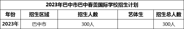 2024年巴中市巴中春蕾國際學校招生計劃是多少？