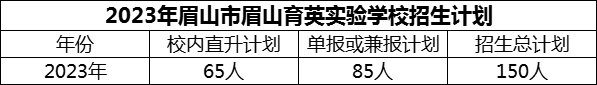 2024年眉山市眉山育英實驗學(xué)校招生計劃是多少？