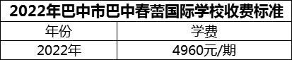 2024年巴中市巴中春蕾國際學(xué)校學(xué)費多少錢？