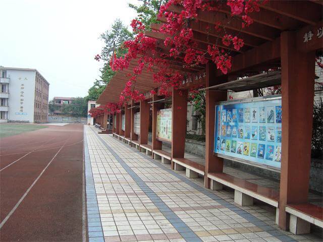 宜賓市第十二中學(xué)校校園風(fēng)采