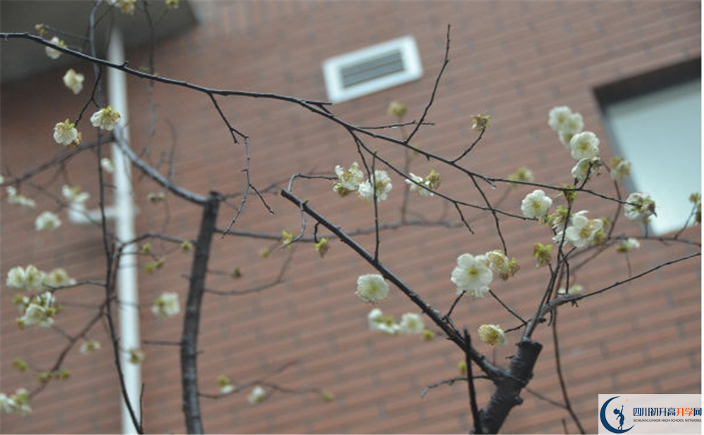 新格林藝術(shù)高級中學(xué)校的高中住宿怎么樣？